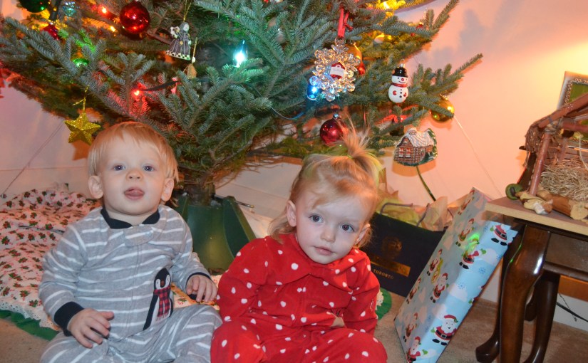 Day 308: Merry Christmas&nbsp;Eve!