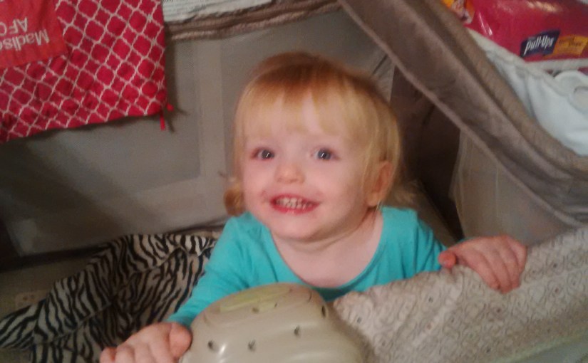 Day 288: Photo&nbsp;Blog