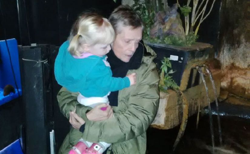 Day 381: Sunday&nbsp;Workout