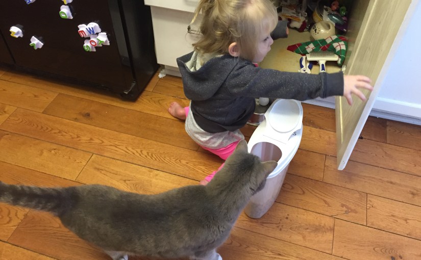 Day 399: New&nbsp;Chores