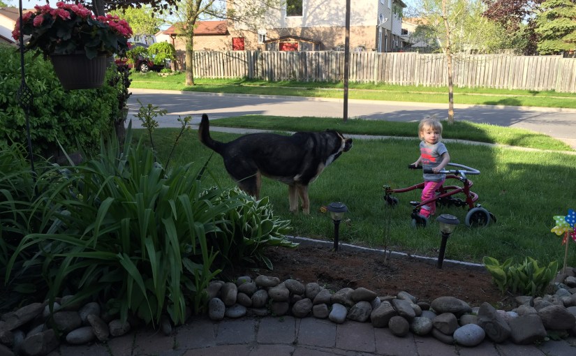 Day 456: Responsibilities 