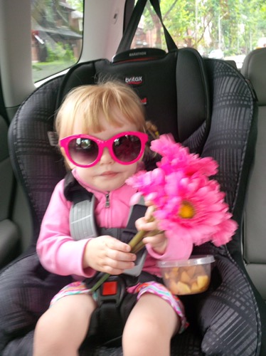 Day 462: Giving&nbsp;Thanks