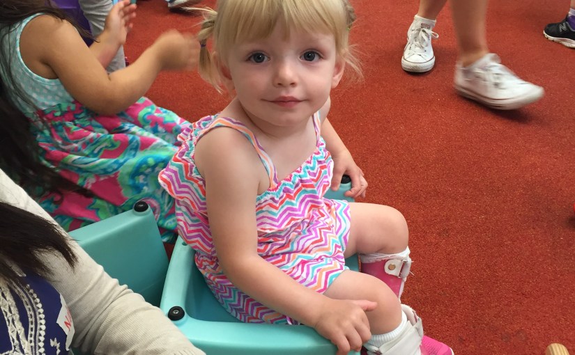 Day 484: And That’s A&nbsp;Wrap!