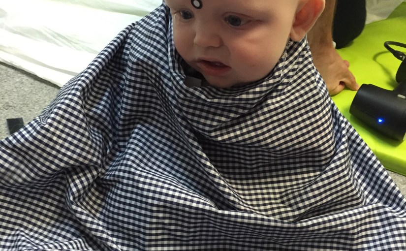 Day 508: Jack&nbsp;Update