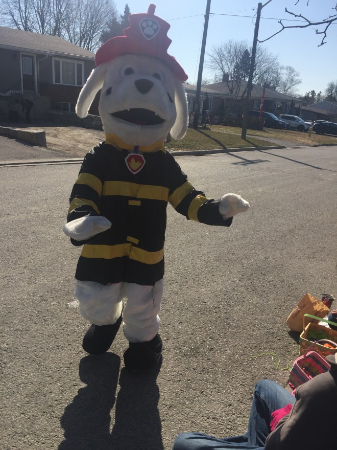 CE3FFC2B-6453-447A-8146-0CBB51BD28F8