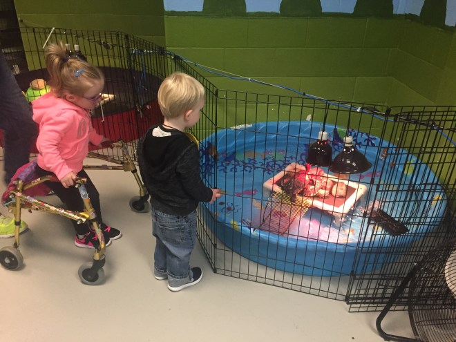 F0329EAC-AFD5-4BC7-8DA7-712D0121A7D0