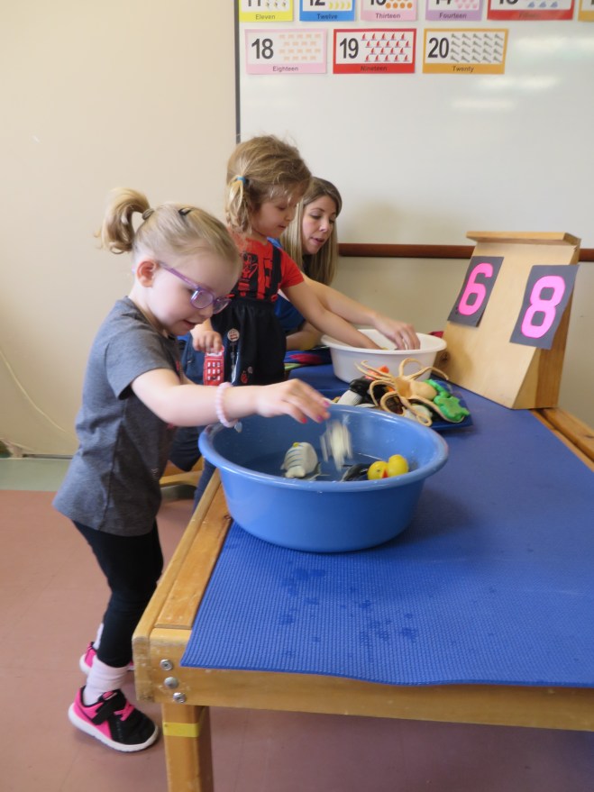 026CD417-2016-4449-B7DF-49AF1139A37D