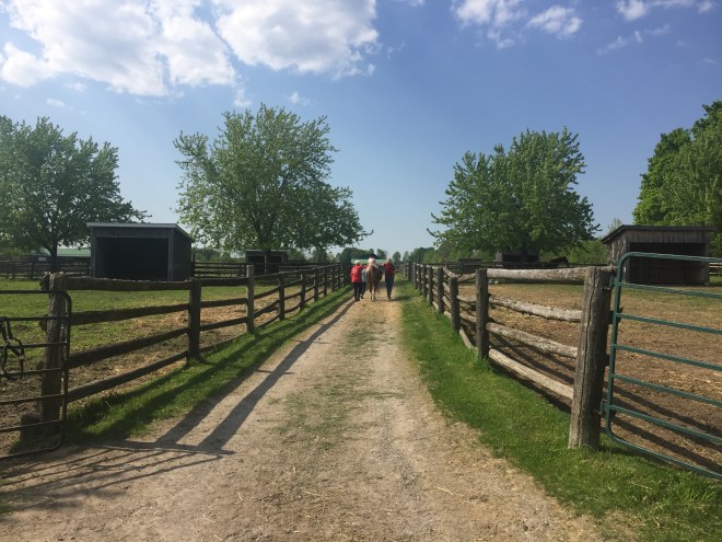 22DACFEC-3EB9-4369-8B61-567720BF2656