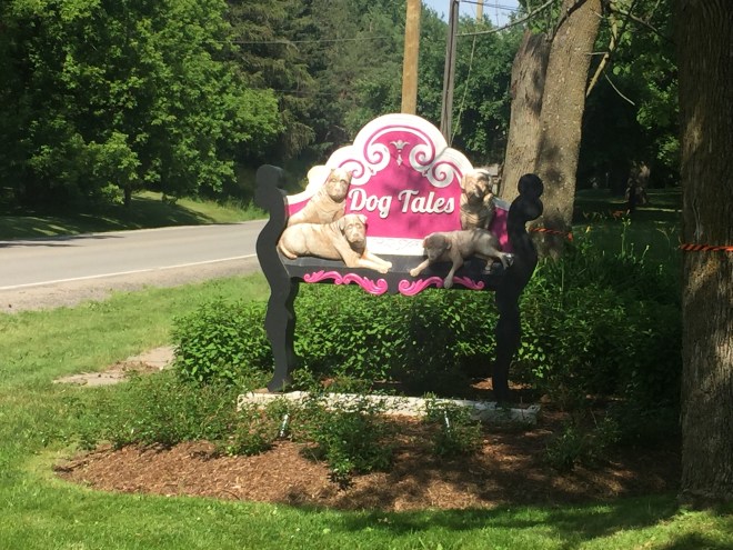 45C5C447-2925-4629-904C-7826B290CD2A