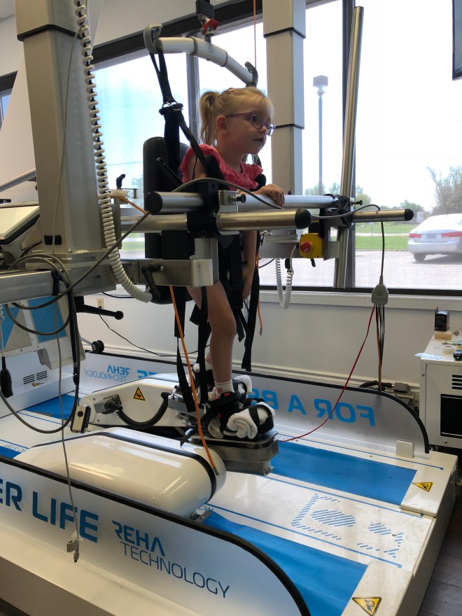 0D404FAB-52D0-446B-8D36-E63BA87386B4