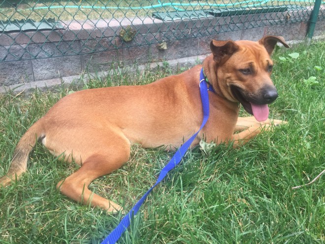 172F400A-0B78-4CC5-B836-B2E61EC1129A