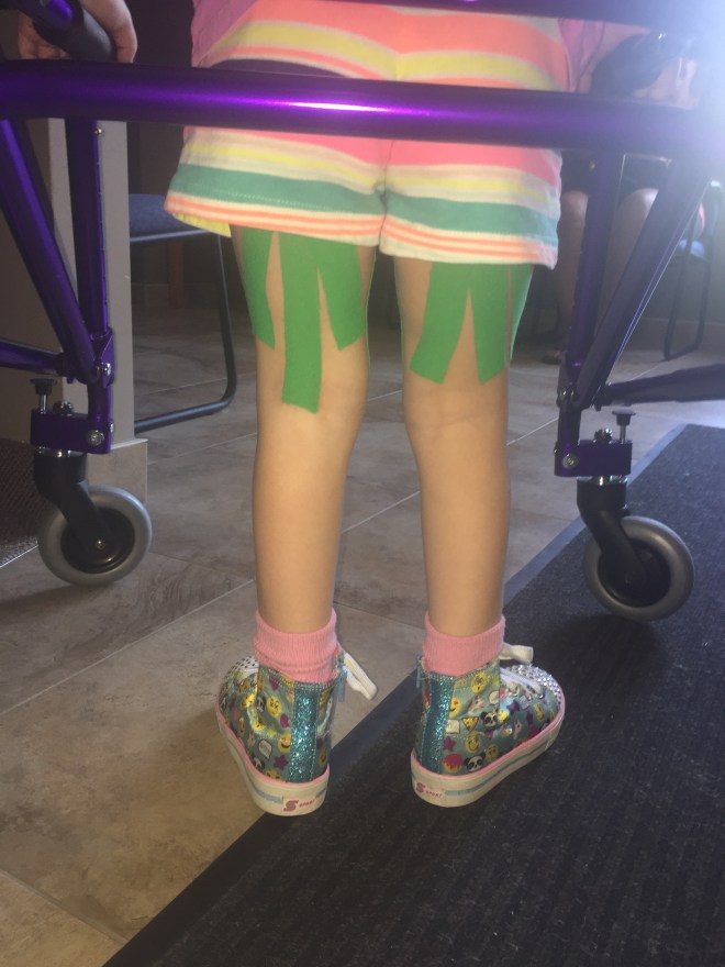 2A381A7E-B44B-4E8D-A094-BEAB2978BD22