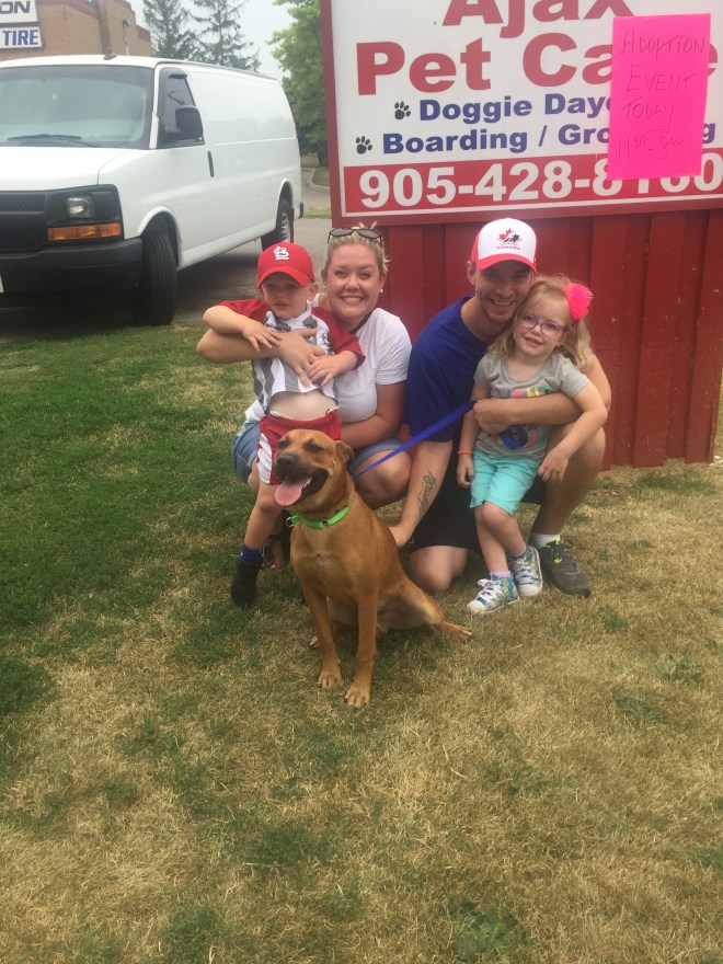 49BEC956-6391-41AC-9D12-CBDAA0AA326E