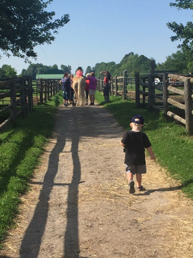 B8577A13-CB85-4B1B-AEDE-1DAA35B1E04D