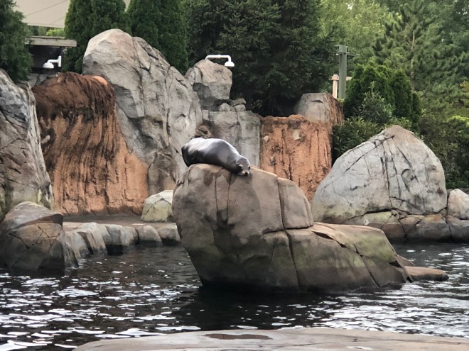 232C2B49-5C22-4984-86F5-6646F5845AB3