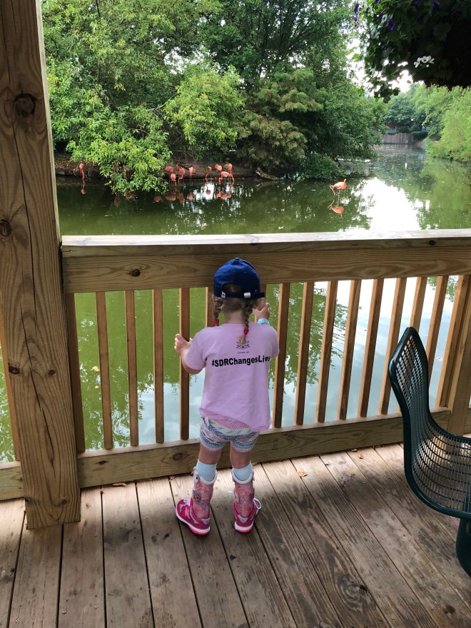 29C71CD9-A7EE-41CC-8497-358950348715