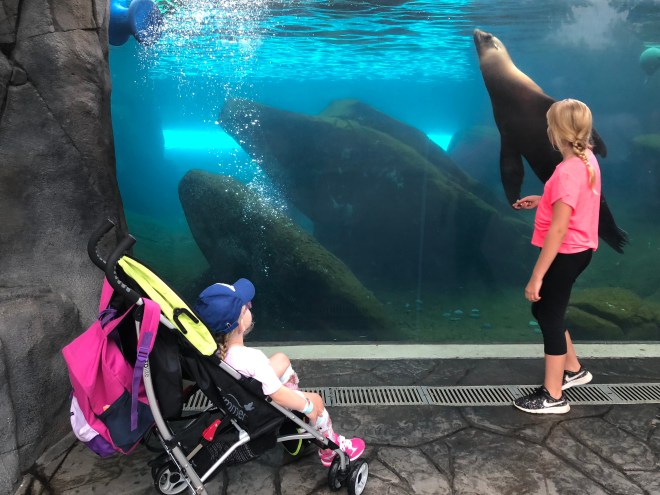 8B32C61D-2369-47BA-B3E1-3880214E4097