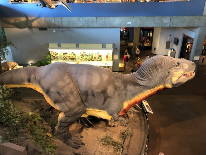 AE14A80F-15C3-42EE-8813-B88A665FF3C8