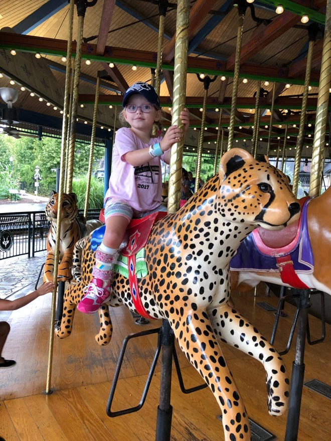 EBE5FA44-B951-4740-90FC-AEE23DCF1362