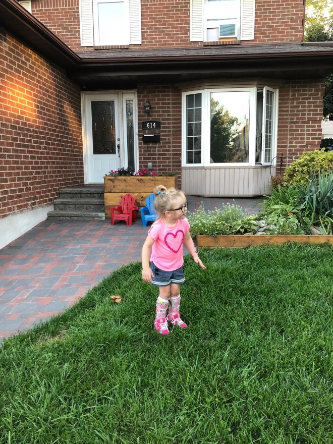 2BC79A2B-810D-4759-ADDA-085251F7A2F8