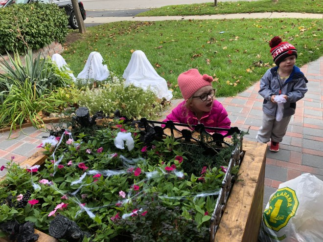 114C431A-6102-48F0-A4C8-C66A7E299220