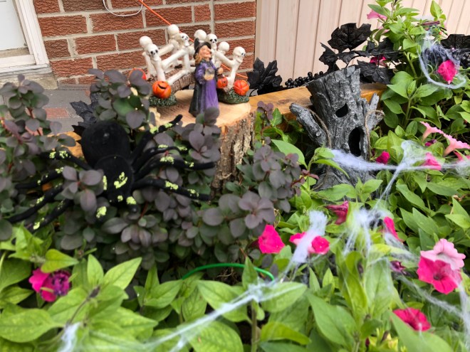 6BC3D06C-6603-497A-ADB7-C0FADD050FFC