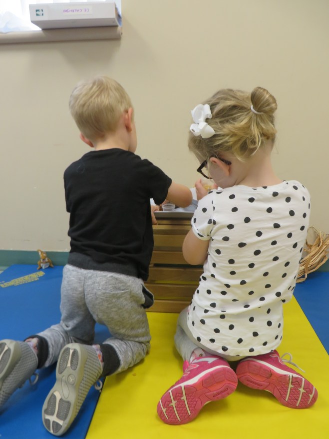 C00EEBEA-4A78-4DD2-8A8D-036AABE06D33