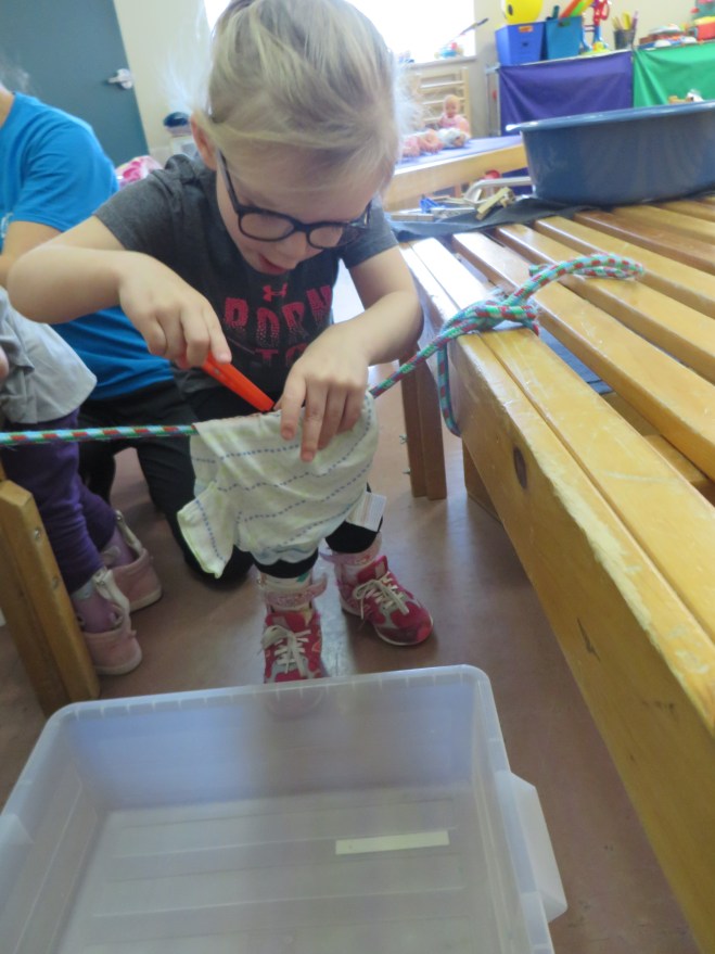 8C2890E9-B95E-473F-A713-6D20BCFFFCD6