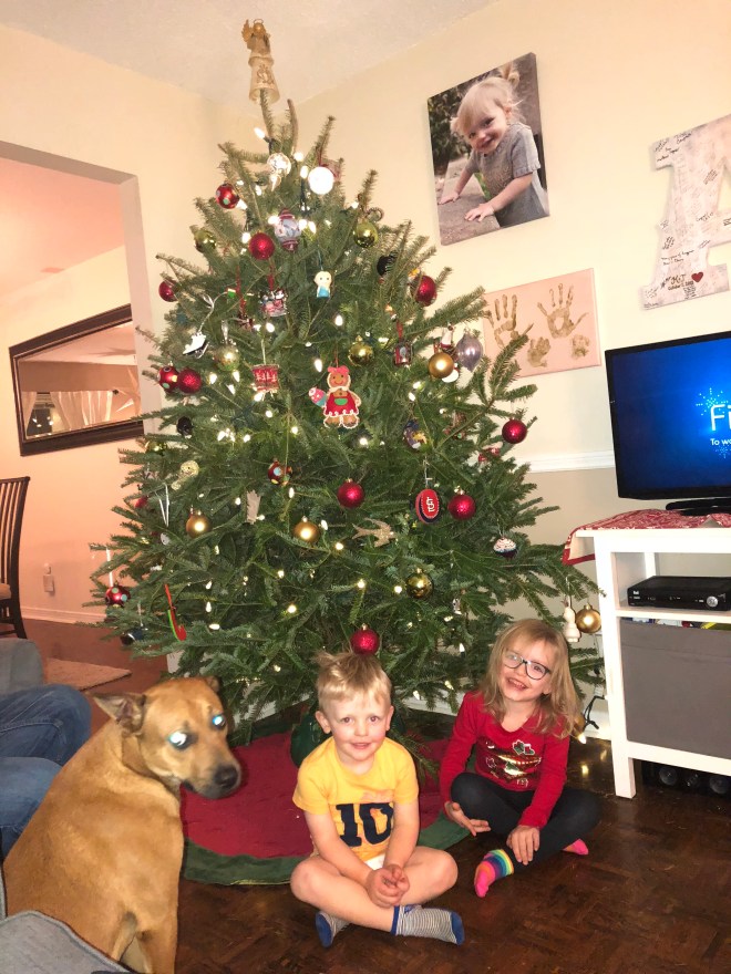 C5722BFD-E672-455C-A8A9-FF4F1304B271