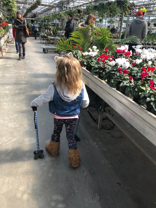 A85E3787-3DBA-4259-8745-9421628B7406