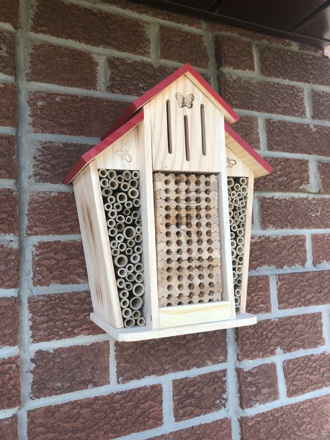 378156B1-0156-4825-8A16-D3E0C0E59277