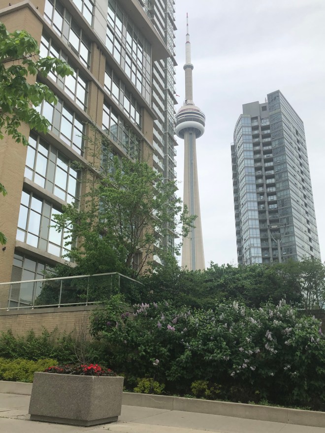 61E56D78-B0C5-45E6-A143-56B3DEACA6A0