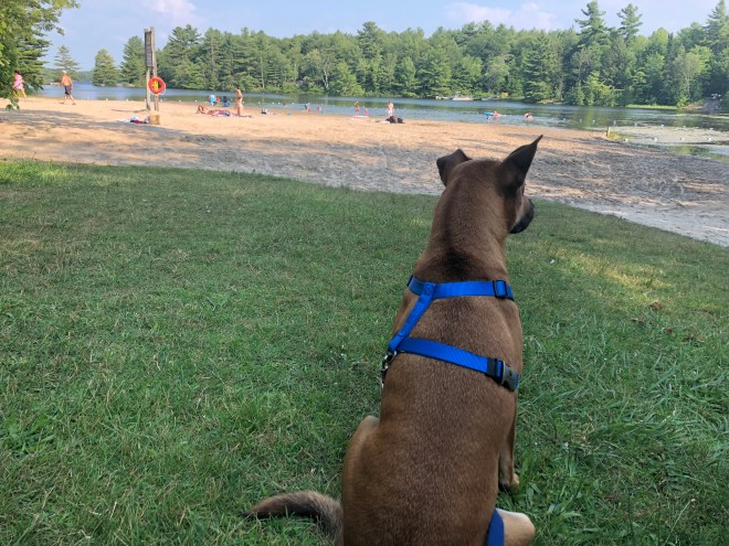 696B6BEA-B9E6-49C5-BDC5-E15BEDAA3117