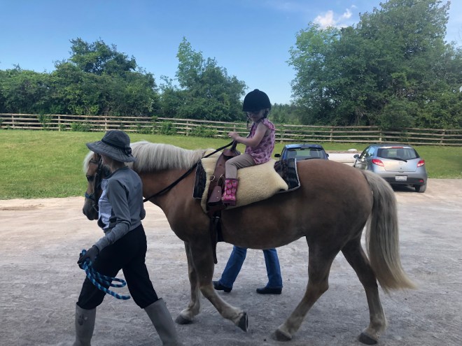 786C7333-730E-4D1E-8625-4A61D118EB43