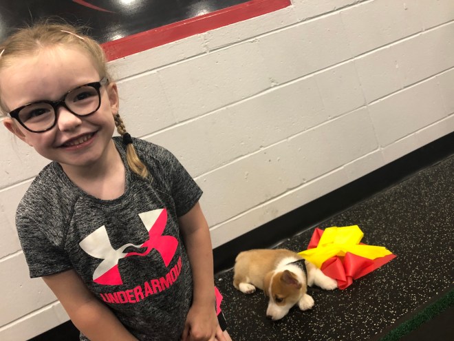 80A9EFD5-EC49-46C1-8831-37AC94E5C34B