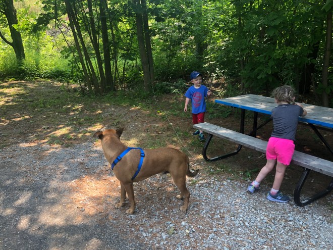 8993302C-785B-4EC1-A9EF-DC1B6D4ADC5A