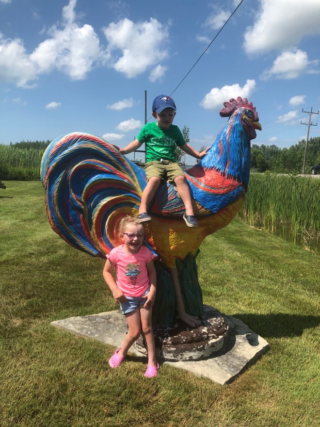 BD64E52E-47C7-43D0-B950-5703E9A39616