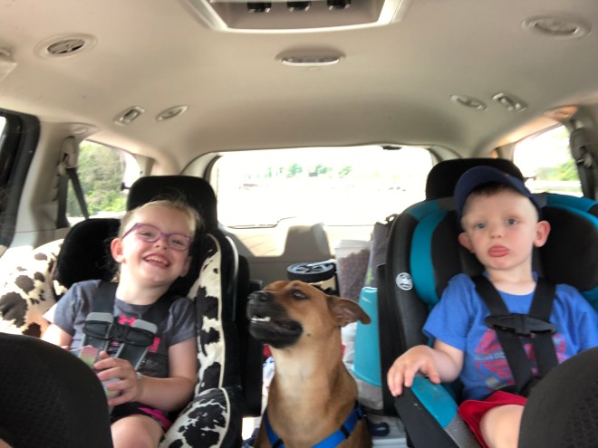 C40D5A38-0960-43B6-9158-7F9E80E2DB21