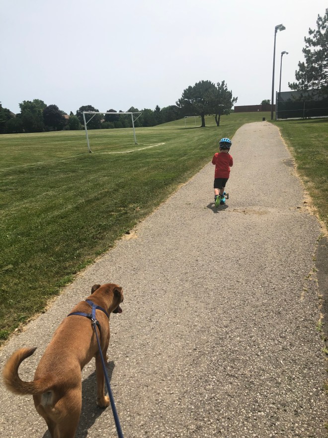 F6856B84-CC9A-45EE-97B6-13048569C9D4