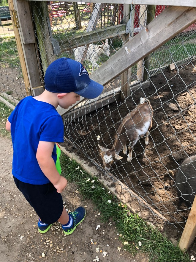 04DA3406-E275-45FB-A1FD-A1FEFB712A57