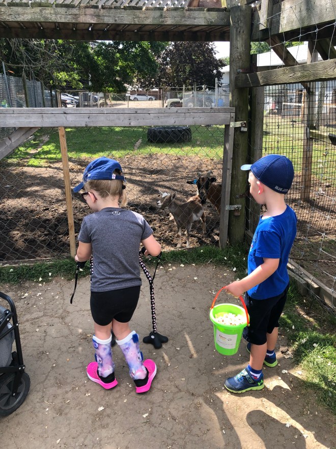 3D83F132-2BD0-43F4-BAD0-FD9C32FC9BA4