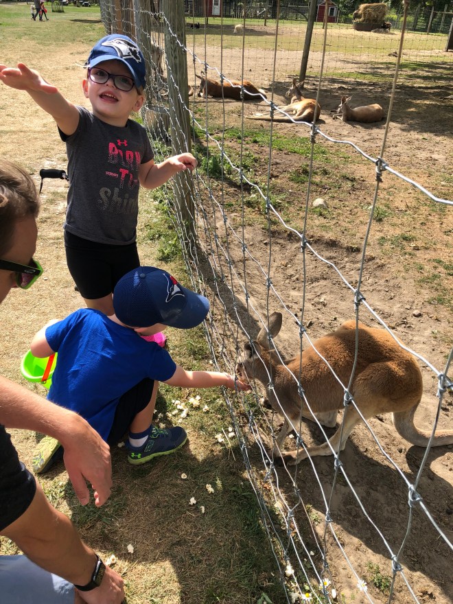 7C4D079B-5E91-4602-BE78-09A49B74B2AE