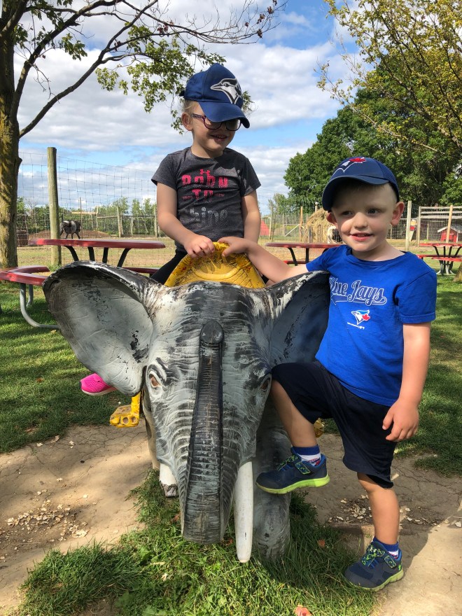 A1B33BAC-B872-4812-9F0E-195F5B4CCC8D