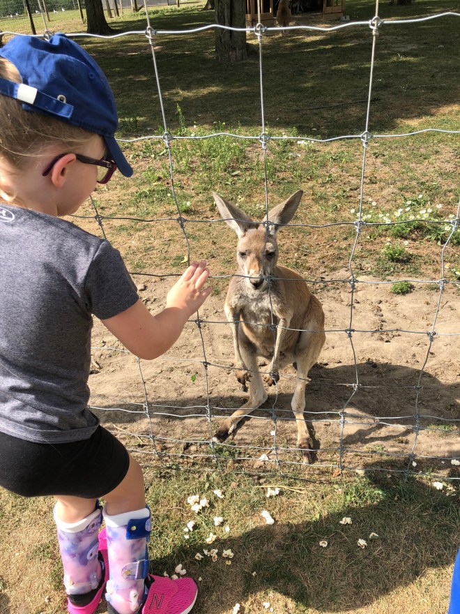 AE0ED36D-0D6B-4DCA-822F-F6CD05EBD210