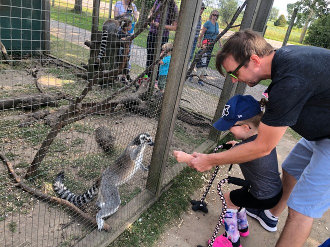 DE1E1C8A-7E32-4527-B867-0A63878A6576