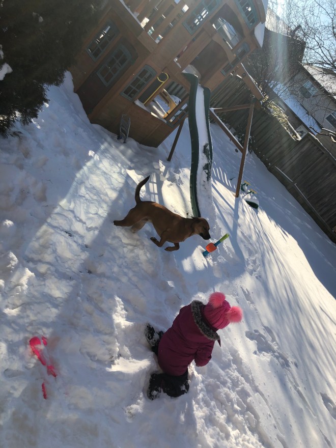 34496A7D-FE7A-417A-835E-4035AD9A3CF9